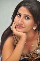 Manisha Gallery